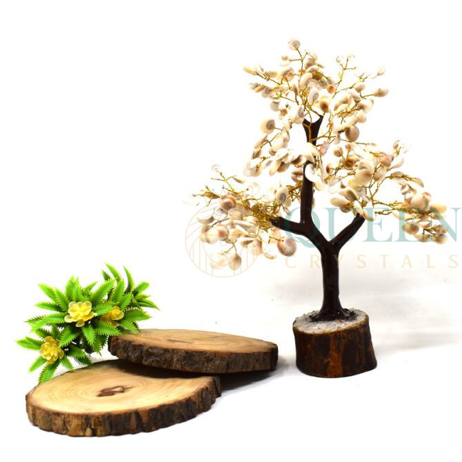 Gomti chakra Fengshui Tree