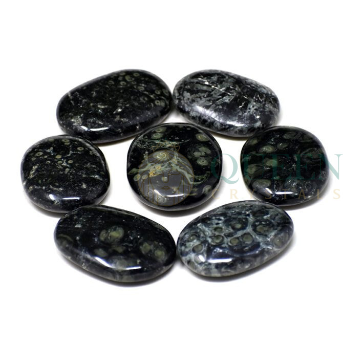 Kambaba Jasper Crystal Palmstone